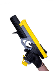 Devils Ruin Pistol - D2